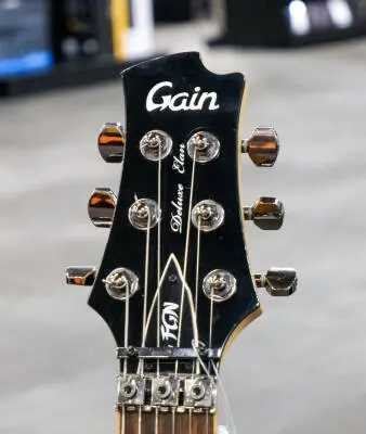 Gain by FGN Deluxe Elan - Tobacco Burst 2